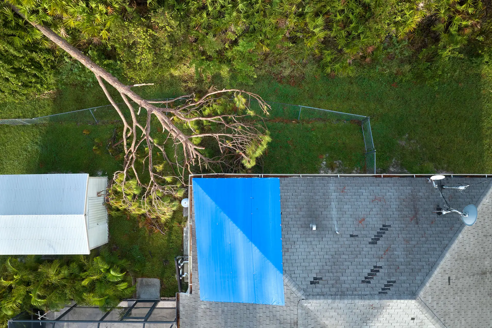 Aerial view of a fallen tree on a roof with a blue tarp and missing shingles, surrounded by a grassy area and nearby trees.