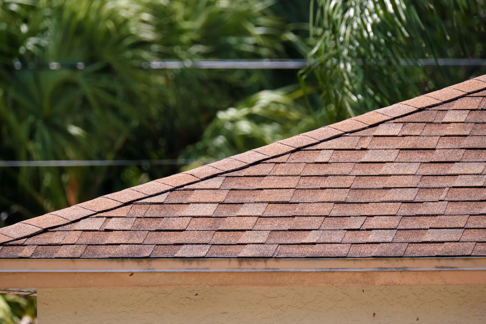 A close-up of a sloped roof covered with brown asphalt shingles, with green foliage in the background.
